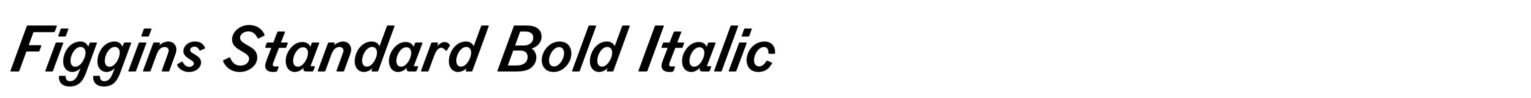Figgins Standard Bold Italic